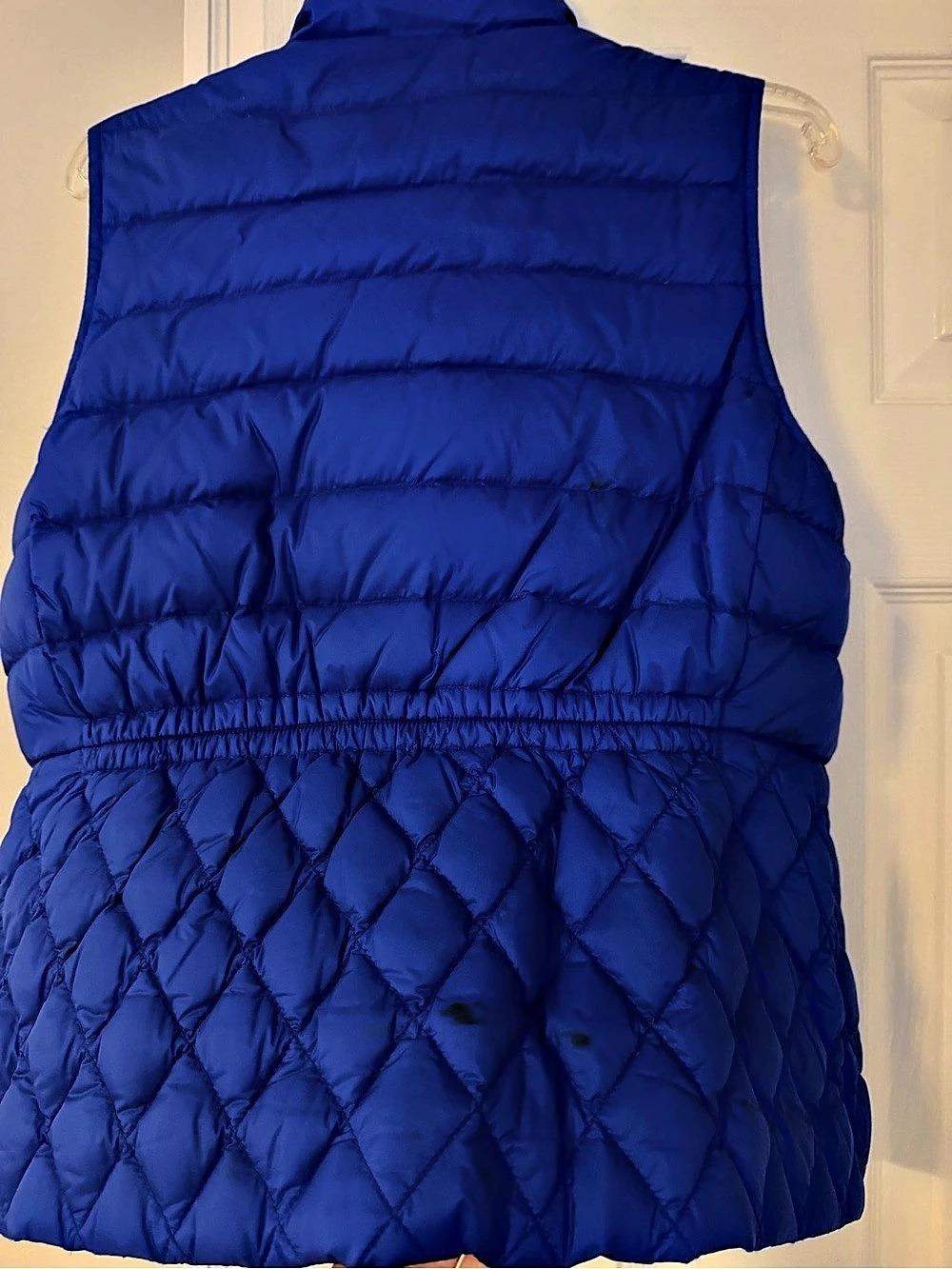 Talbots in Blue - Picture 4 of 6